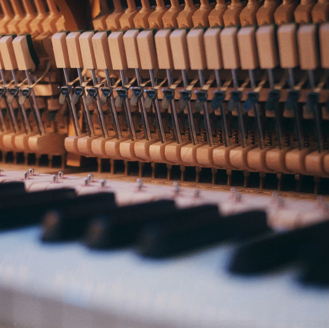 The piano action and keys in the River video